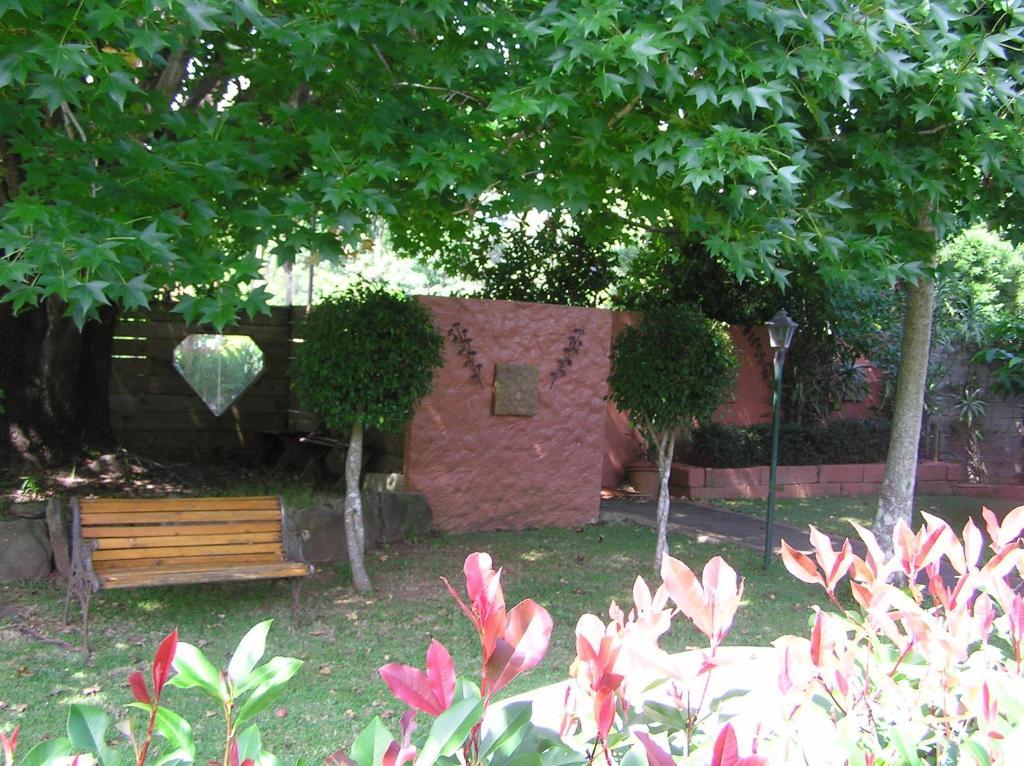 Sapphire Motel Korora Pokój zdjęcie